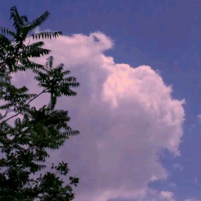 屠龙霸刀bt版下载